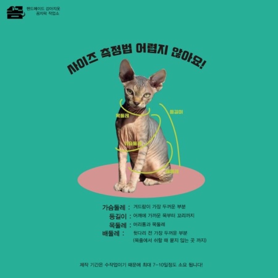 고양이 사이즈 측정법: 가슴둘레, 등길이, 목둘레, 배둘레