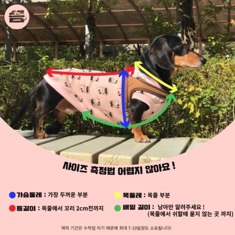 강아지 사이즈 측정법: 가슴둘레, 등길이, 목둘레, 배밑길이